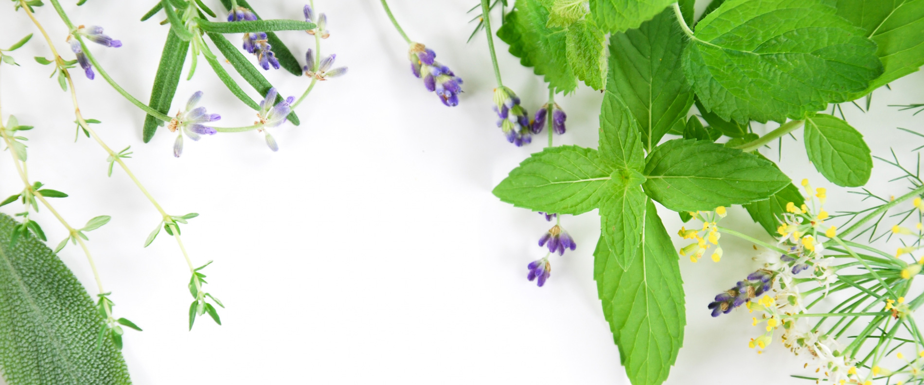 staff_image   イメージ