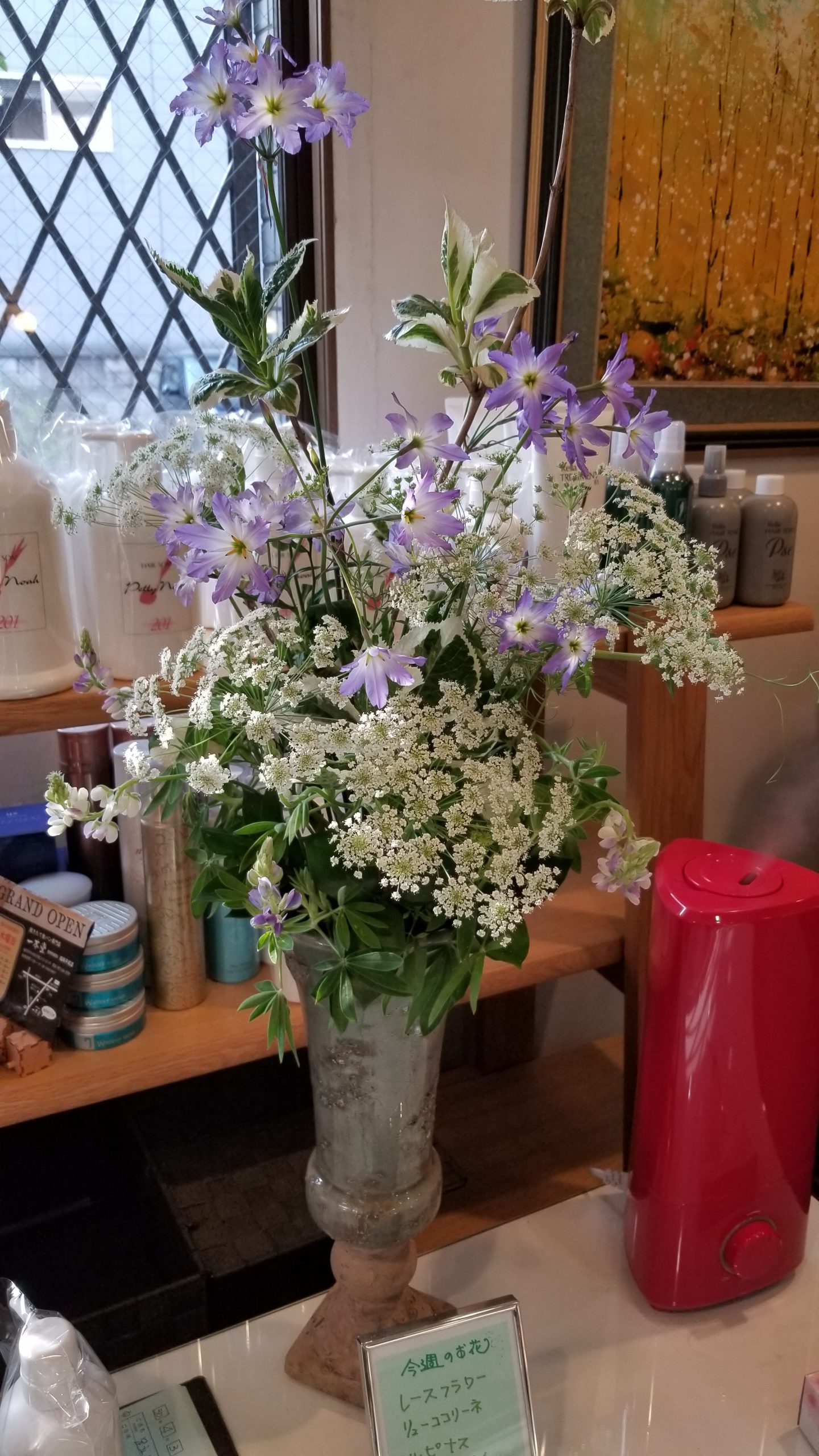 サロンドセピア今週のお花 サロン ド セピア 福岡市中央区の美容室